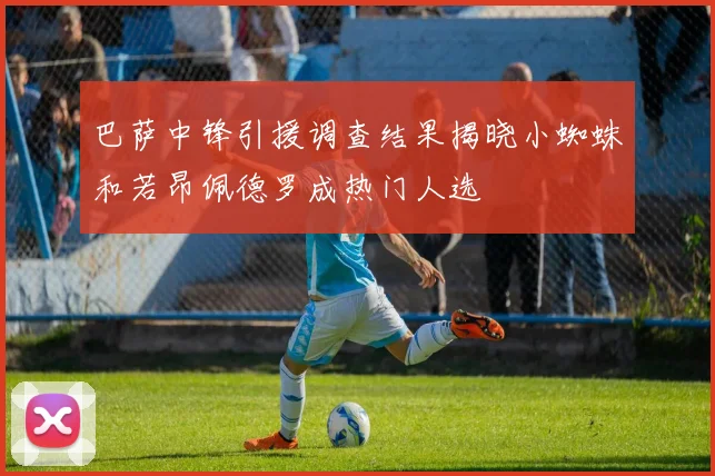 巴萨中锋引援调查结果揭晓小蜘蛛和若昂佩德罗成热门人选