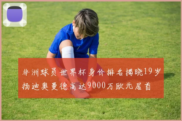 非洲球员世界杯身价排名揭晓19岁扬迪奥曼德高达9000万欧元居首